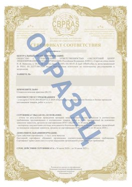 Образец Сертификат СТО 01.064.00220722.2-2020 Гусиноозерск Сертификат СТО 01.064.00220722.2-2020 